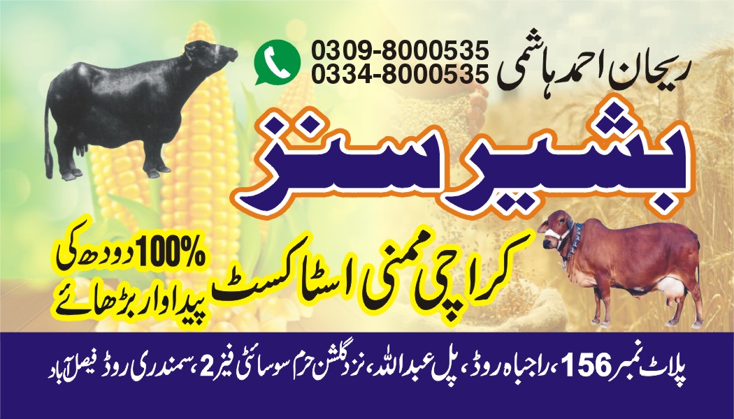 گندم کا دلیہ